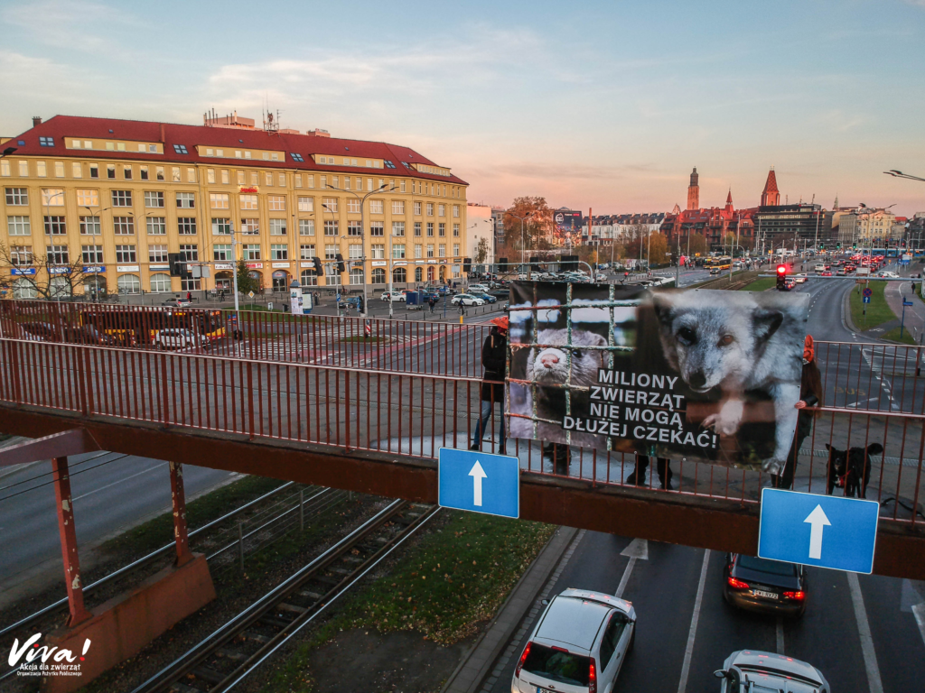 Wrocław, akcja z banerem z okazji Dnia bez Futra. Czas na zakaz zbijania milionów zwierząt na futra