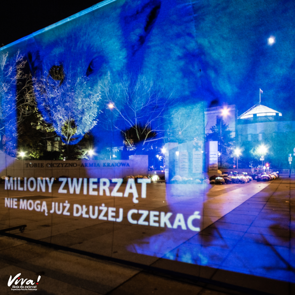Hologram pod Sejmem, zdjęcie lisa z fermy i apel do posłów i posłanek o szybkie przyjęcie projektu nowelizacji ustawy o ochronie zwierząt.