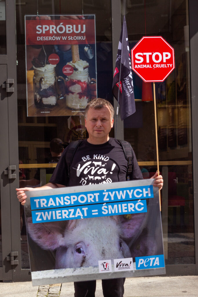 akcje przeciwko transportowm żywych zwierząt zorganizowane przez grupy lokalne Vivy