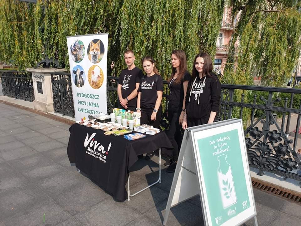 Viva! Bydgoszcz akcja na dzień mleka roślinnego