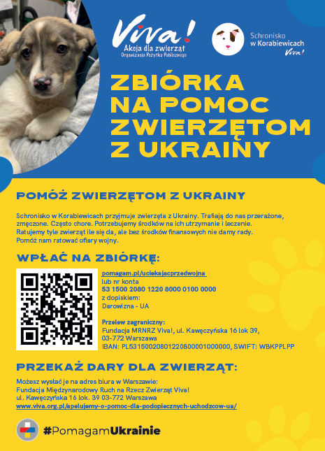 Plakat do bezpłatnego pobrania — pobierz, wydrukuj i powieś w swojej okolicy. Plakat zawiera informacje, w jaki sposób można pomóc zwierzętom uratowanym przez Fundację Viva! z Ukrainy. 