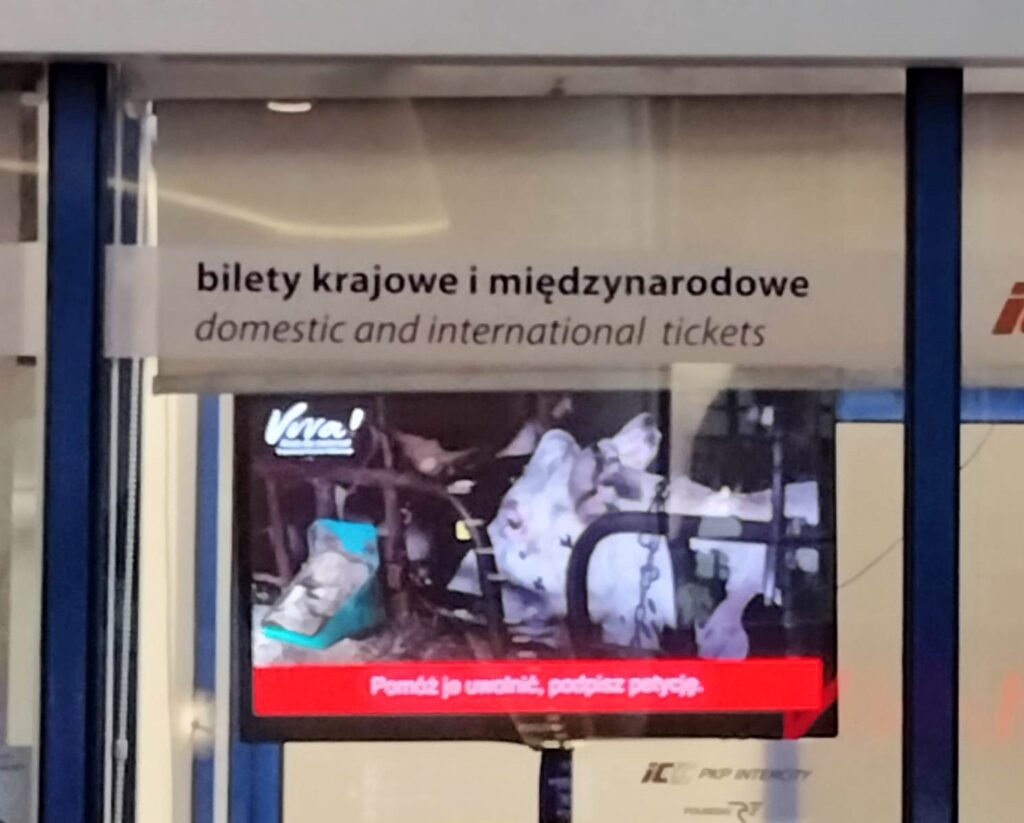 Kampania Białe Kłamstwa 1 lipca ruszyła z akcją outdoorową ”Uwolnić krowy z łańcuchów”. Na trzech dworcach PKP w Polsce ‒ w Gdyni, Krakowie i Warszawie pojawiły się filmy, które zachęcają do podpisywania petycji na rzecz wprowadzenia zakazu hodowli uwięziowej krów mlecznych w Polsce.