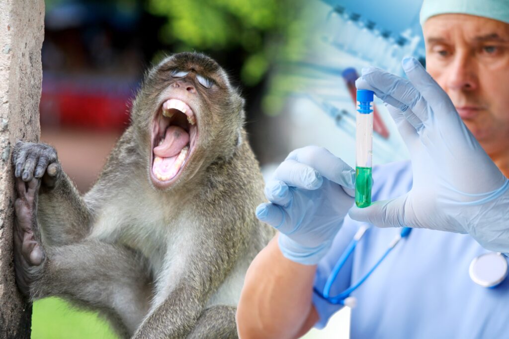 światowy dzień zwierząt laboratoryjnych