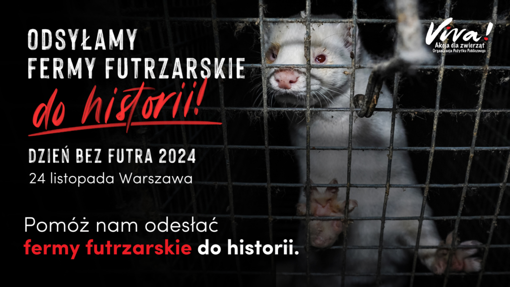 Dzień Bez Futra 24 listopada w Warszawie