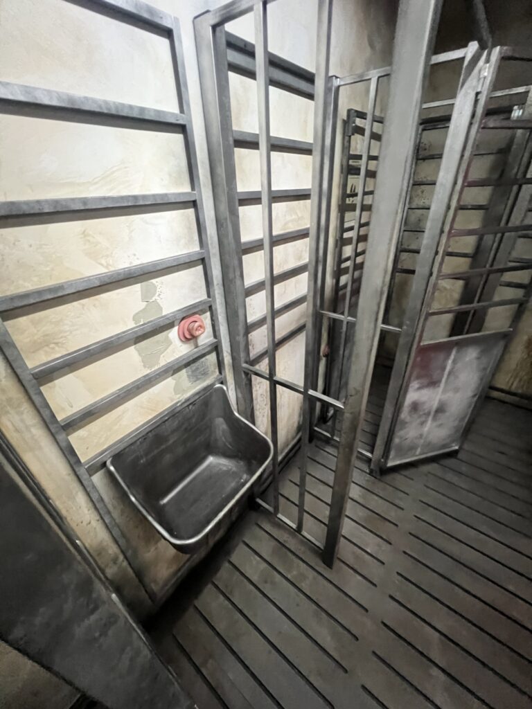 Gracze rozwiązują zagadki w escape roomie Świński Los w Warszawie