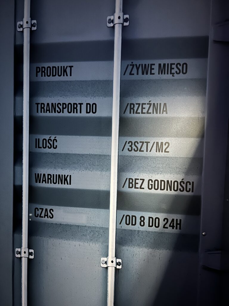 Gracze rozwiązują zagadki w escape roomie Świński Los w Warszawie
