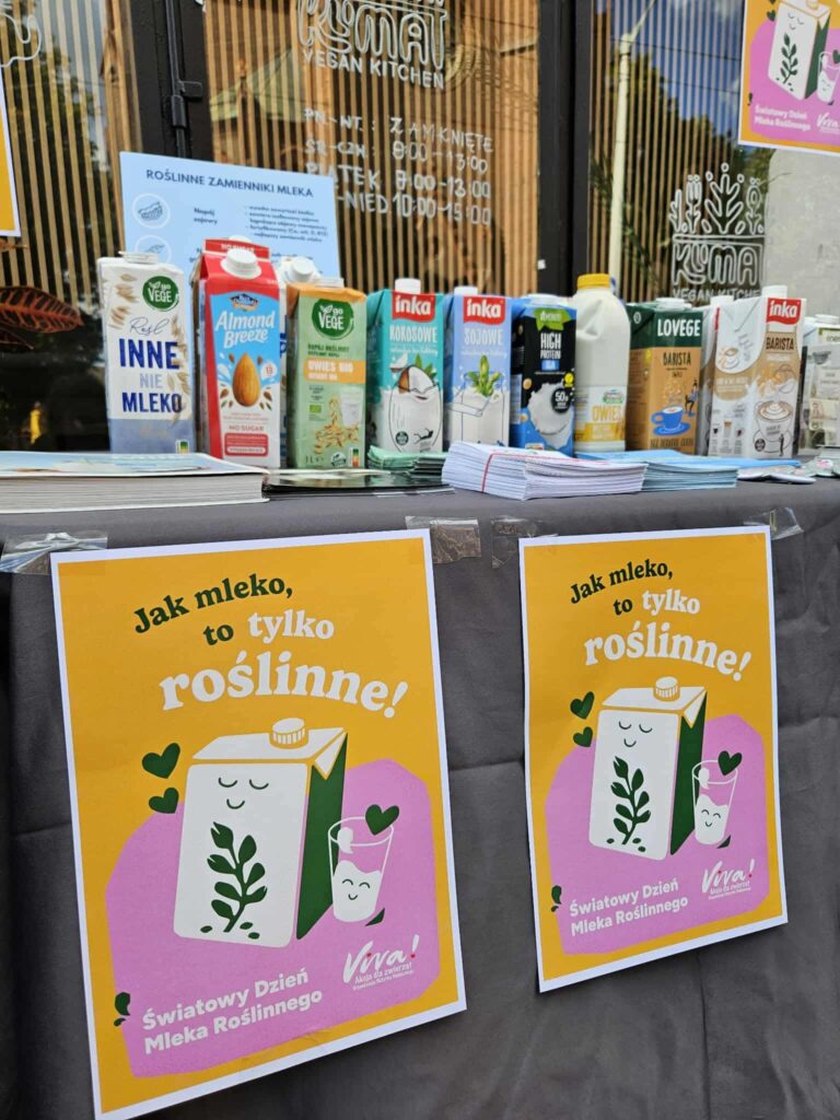 akcje uliczne z okazji dnia mleka roślinnego