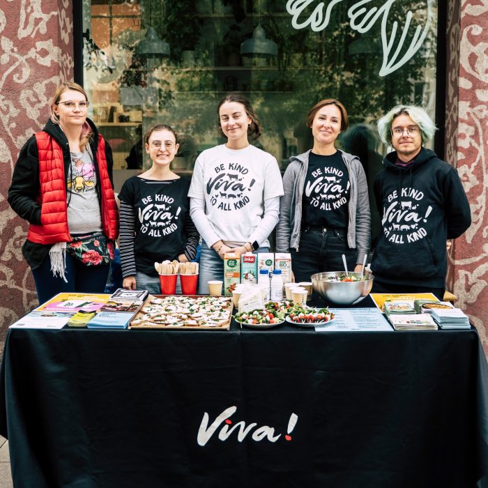 539271116_1125103119719436_7497855987957216821_n